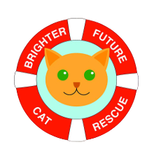 Brighter Future Cat Rescue